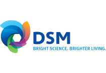 DSM
